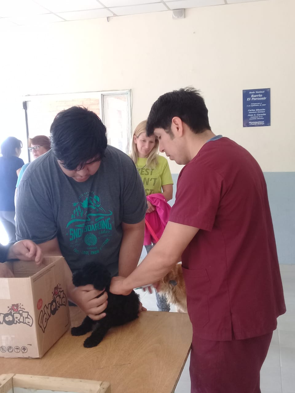 REALIZARÁN CASTRACIONES GRATUITAS EN EL ROQUE GONZÁLEZ 