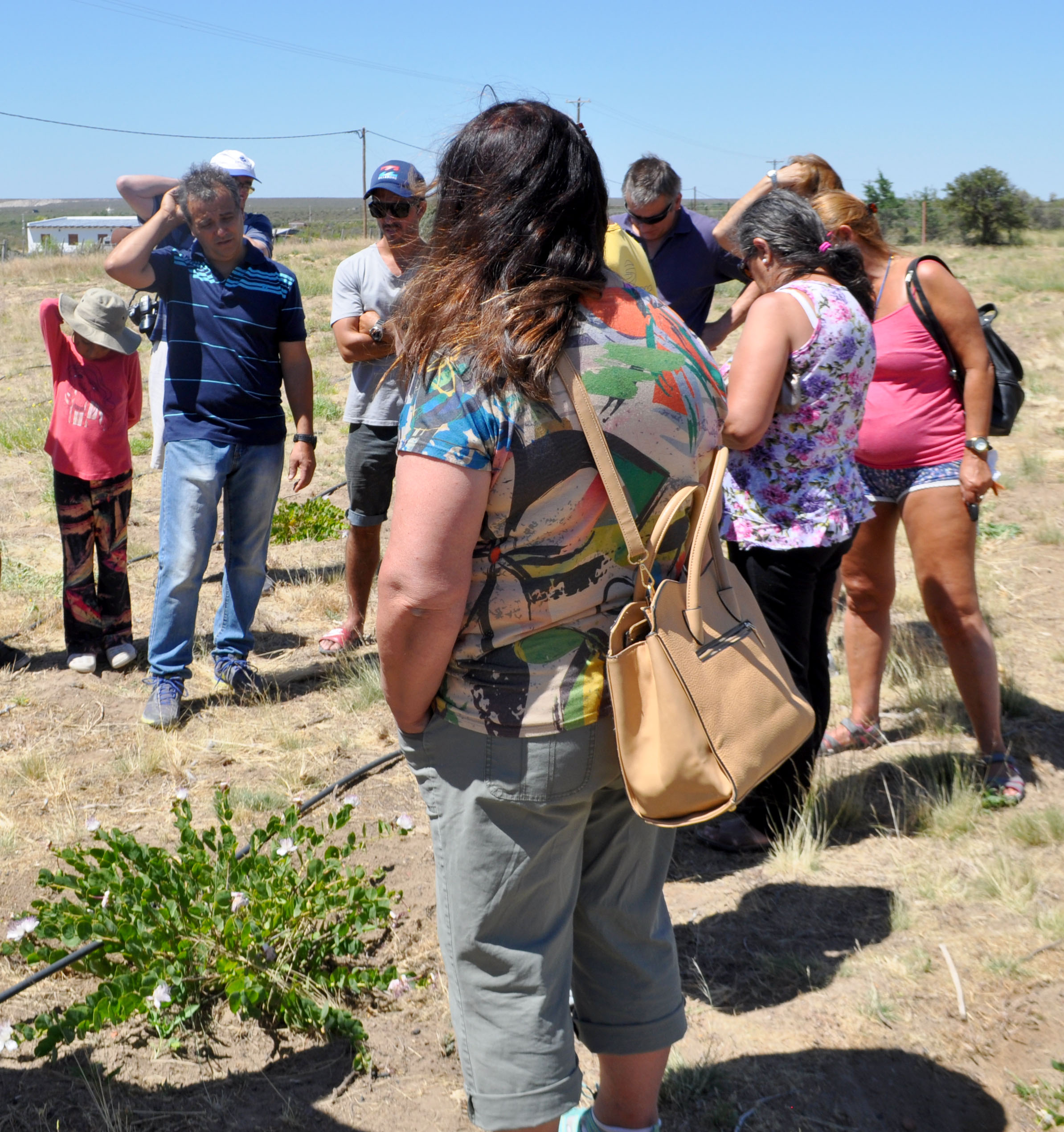 VERANO 2019: NUEVO PASEO POR EL PARQUE ECOLÓGICO EL DORADILLO