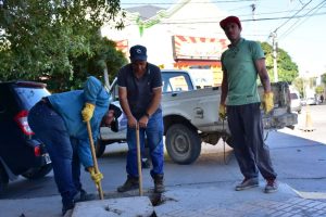 TAREAS DE MANTENIMIENTO EN DISTINTOS SECTORES DE LA CIUDAD 