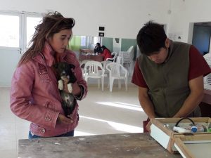 CONVOCAN A NUEVAS CAMPAÑAS GRATUITAS PARA MASCOTAS 