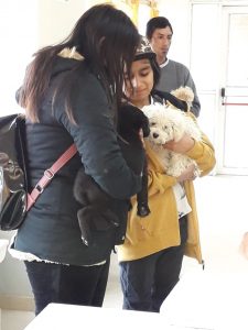 CONTINÚAN LAS CAMPAÑAS GRATUITAS PARA MASCOTAS EN DISTINTOS BARRIOS 