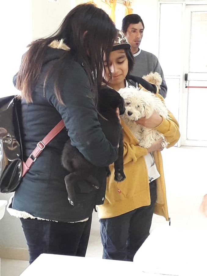 CONTINÚAN LAS CAMPAÑAS GRATUITAS PARA MASCOTAS EN DISTINTOS BARRIOS 