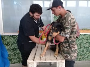 HABRÁ CAMPAÑAS DE VACUNACIÓN PARA MASCOTAS EN LOS BARRIOS COMERCIO II Y FONTANA