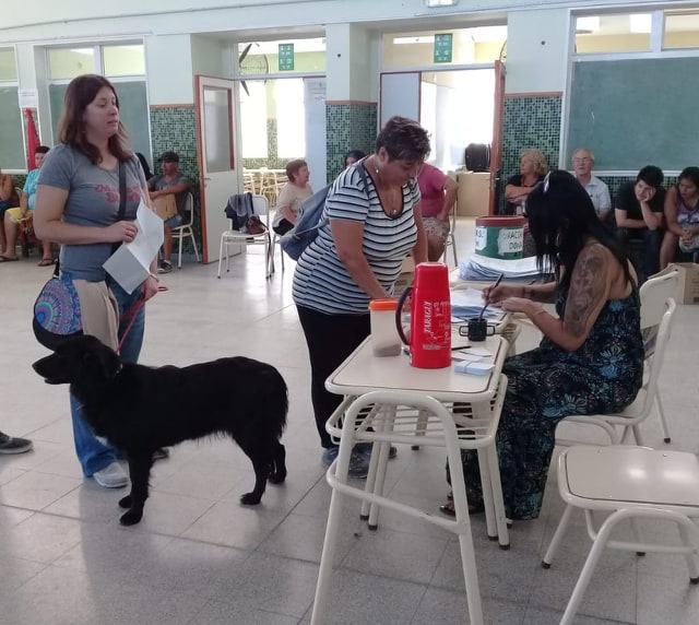 MÁS CAMPAÑAS GRATUITAS PARA MASCOTAS 