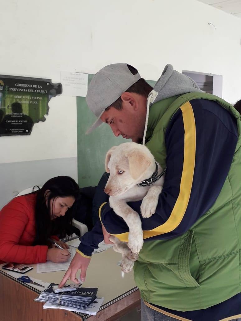 CONVOCAN A CAMPAÑAS GRATUITAS PARA MASCOTAS EN EL SAN MIGUEL 