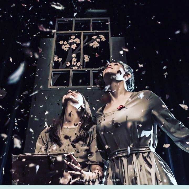 EL VIERNES COMIENZA EL FESTIVAL INTERNACIONAL “LA PATAGONIA AL TEATRO” 