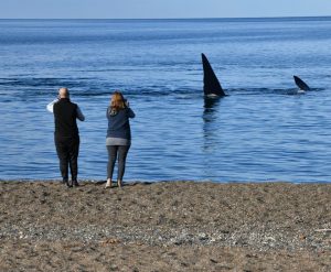 TURISMO: SASTRE CONFIRMÓ UN 70% DE OCUPACIÓN DURANTE EL FIN DE SEMANA LARGO