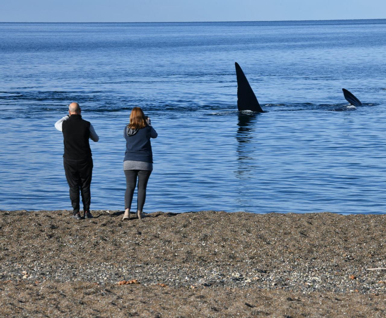 TURISMO: SASTRE CONFIRMÓ UN 70% DE OCUPACIÓN DURANTE EL FIN DE SEMANA LARGO