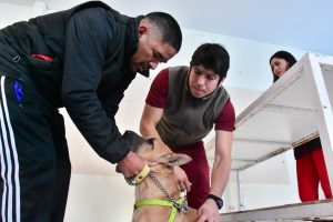CONVOCAN A CAMPAÑA DE CASTRACIÓN GRATUITA EN EL BARRIO SAN MIGUEL 