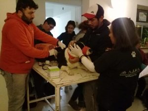 HABRÁ CAMPAÑA DE VACUNACIÓN GRATUITA EN EL PORVENIR