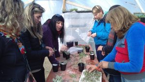 SEGUNDO ENCUENTRO DEL TALLER “AMBIENTE Y SALUD A PARTIR DE LA HUERTA”