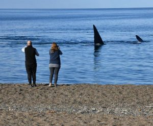 TURISMO: SASTRE DIJO QUE “SER SEDE DE EVENTOS ES UNA VENTAJA PARA MADRYN”, TRAS OTRO FIN DE SEMANA EXITOSO