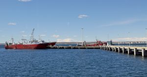 MES DEL TURISMO: VISITA GUIADA Y GRATUITA A LOS MUELLES DE MADRYN