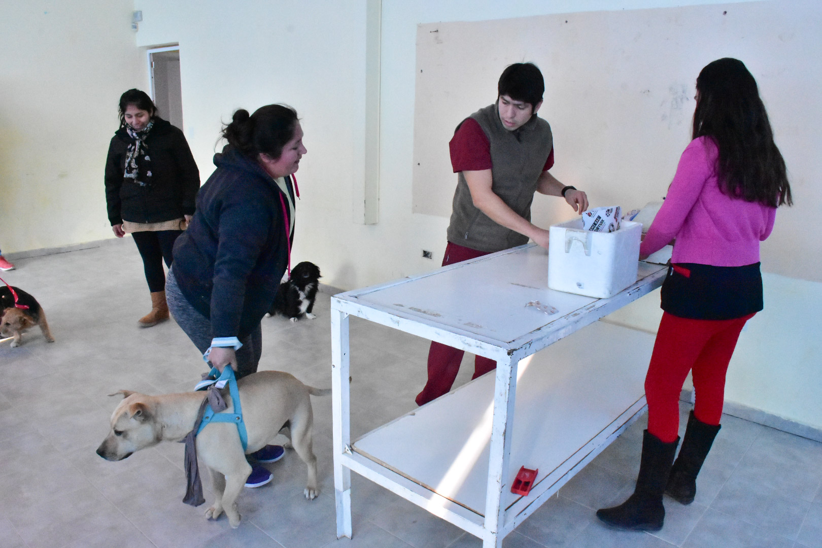 NUEVAS CAMPAÑAS GRATUITAS PARA MASCOTAS EN MADRYN