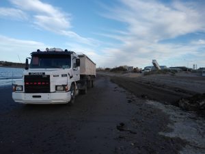 LIMPIEZA DE ALGAS EN LA COSTA