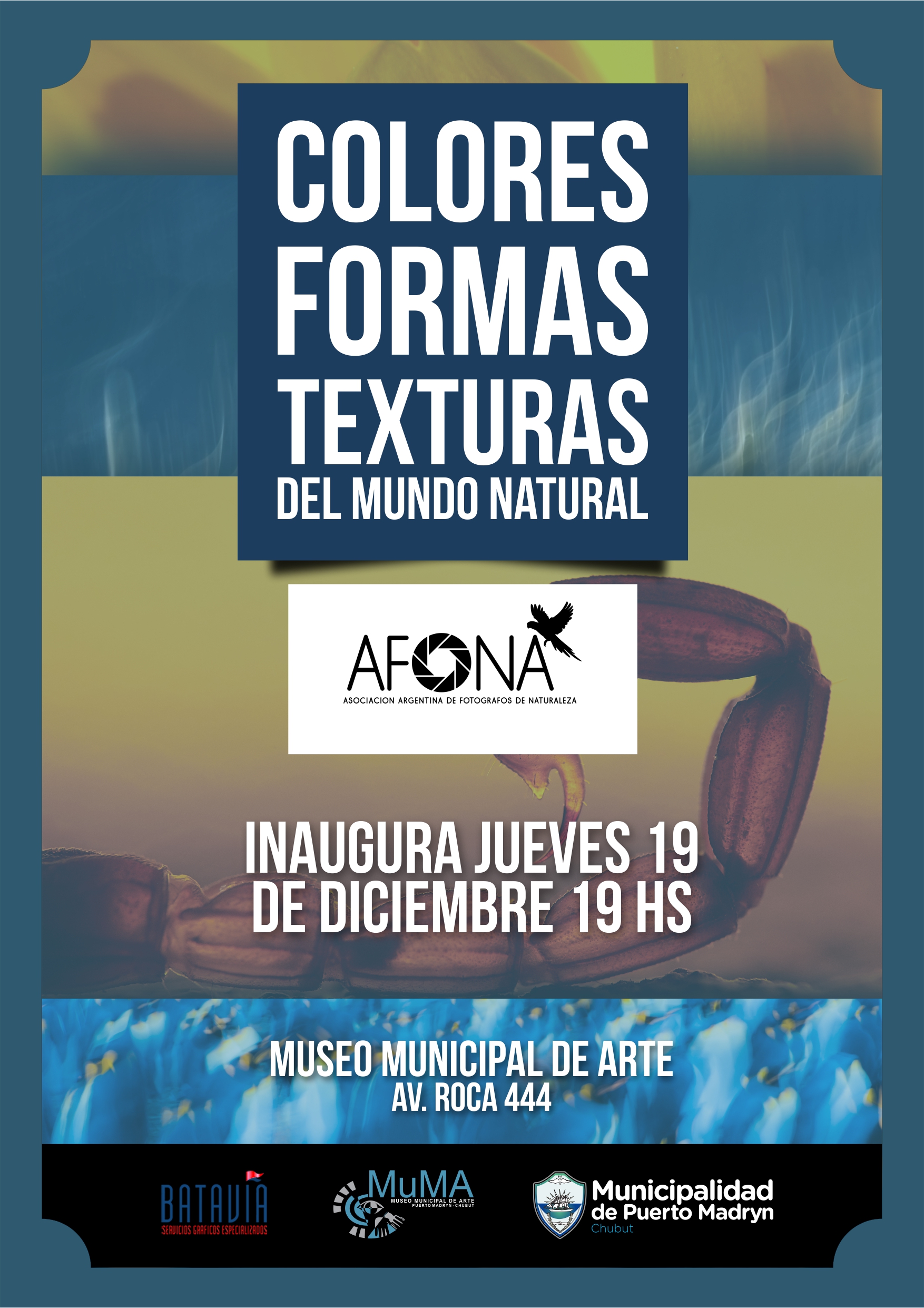NUEVA MUESTRA EN EL MUSEO MUNICIPAL DE ARTE