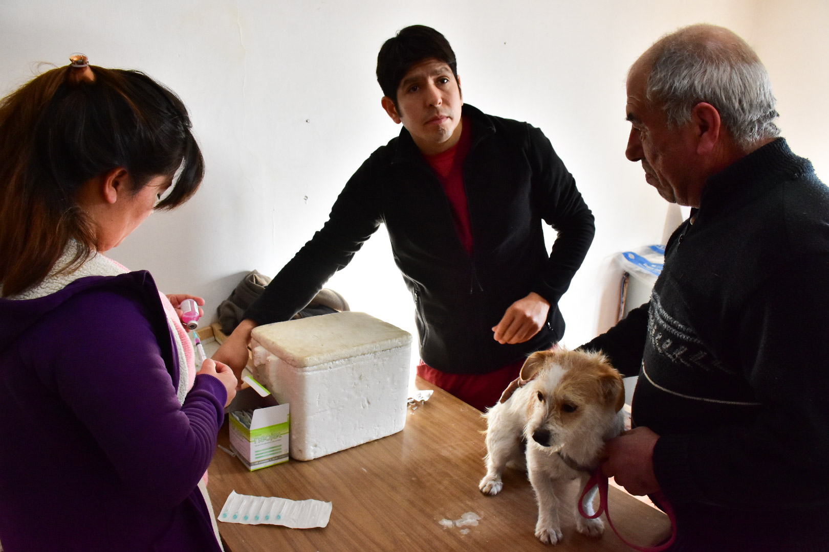 CONTINÚAN LAS CAMPAÑAS GRATUITAS PARA MASCOTAS