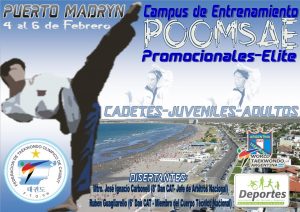 HABRÁ UN CAMPUS DE TAEKWONDO EN PUERTO MADRYN