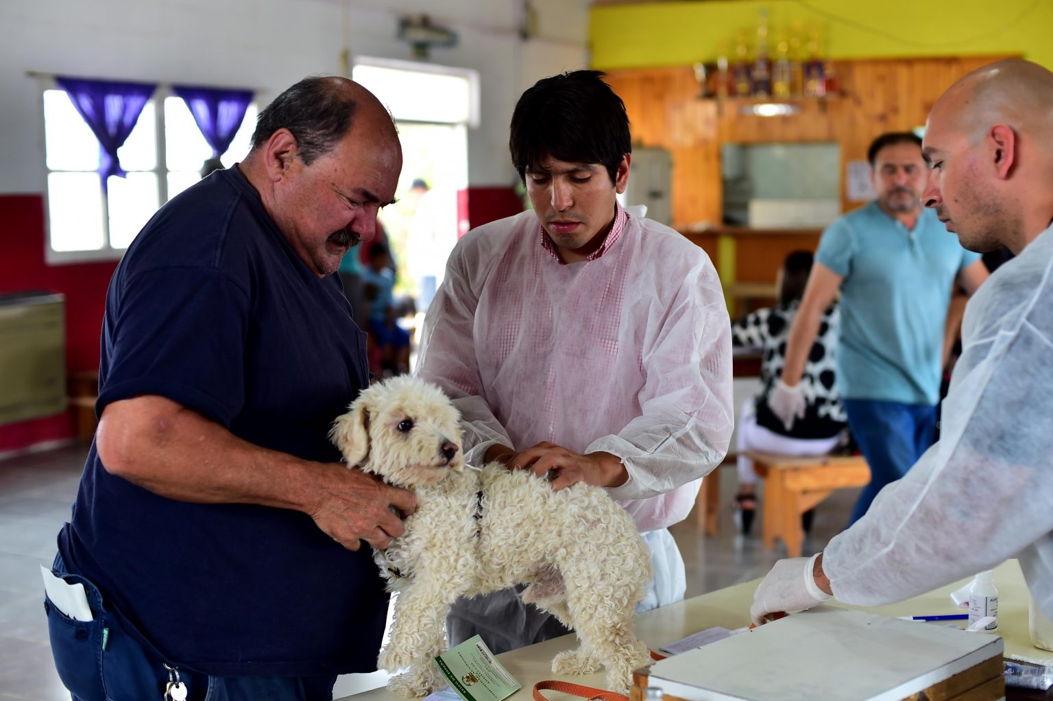 CAMPAÑA GRATUITA DE CASTRACIÓN PARA MASCOTAS EN EL SINDICATO DE EMPLEADOS DE COMERCIO