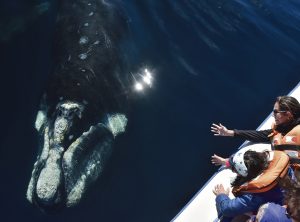 EXITOSO CONCURSO FOTOGRÁFICO “NATURALEZA SIN LÍMITES”
