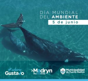 ¡FELICIDADES A LOS GANADORES DEL CONCURSO DE CORTOS AMBIENTALES!