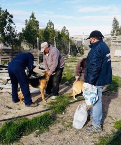 REALIZAN UN RELEVAMIENTO INTEGRAL EN LA RESERVA AGRÍCOLA FORESTAL