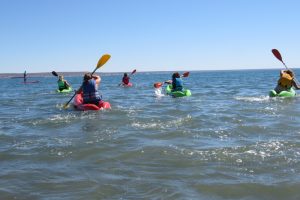 EL DOMINGO SE REALIZARÁ LA KAYAKEADA DEL ORGULLO EN LA COSTA DE MADRYN