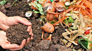 COMIENZAN LOS TALLERES DE COMPOSTAJE DE LA SECRETARÍA DE ECOLOGÍA