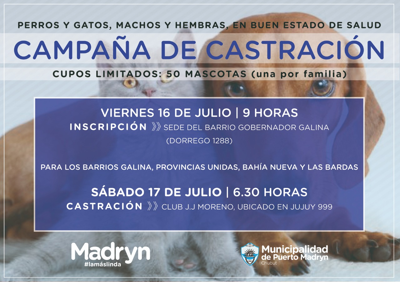 CAMPAÑA GRATUITA DE CASTRACIÓN PARA MASCOTAS DE LOS BARRIOS GALINA, PROVINCIAS UNIDAS, BAHÍA NUEVA Y LAS BARDAS
