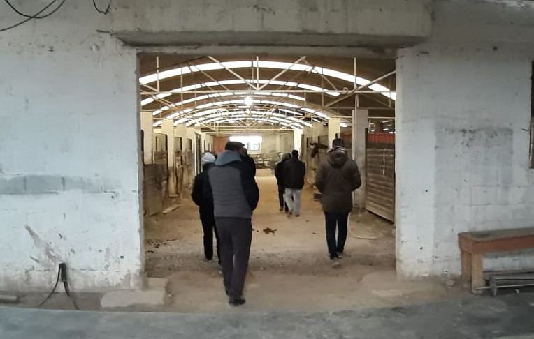 SE AVANZA EN LA CREACIÓN DE UNA ESCUELA DE EQUINOTERAPIA EN MADRYN