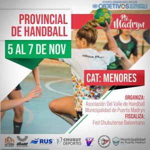 LLEGA EL PROVINCIAL DE HANDBALL EN CATEGORÍA MENORES  