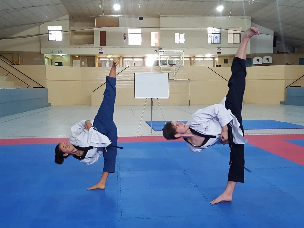 LA COSTA MADRYNENSE RECIBIRÁ POR PRIMERA VEZ LA COPA ARGENTINA DE TAEKWONDO