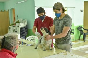 VACUNACIONES PARA MASCOTAS EN EL BARRIO RUCAL HUE