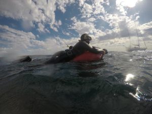 LA ESCUELA MUNICIPAL DE BUCEO “MALEVO MEDINA” PARTICIPÓ DE UNA COMPETENCIA DE APNEA PROFUNDA