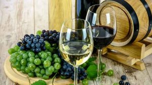 INVITAN A LA CAPACITACIÓN PARTICIPATIVA “ELABORACIÓN DE VINOS ARTESANALES”