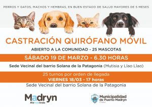CONTINÚAN LAS CAMPAÑAS GRATUITAS DE CASTRACIÓN DE MASCOTAS