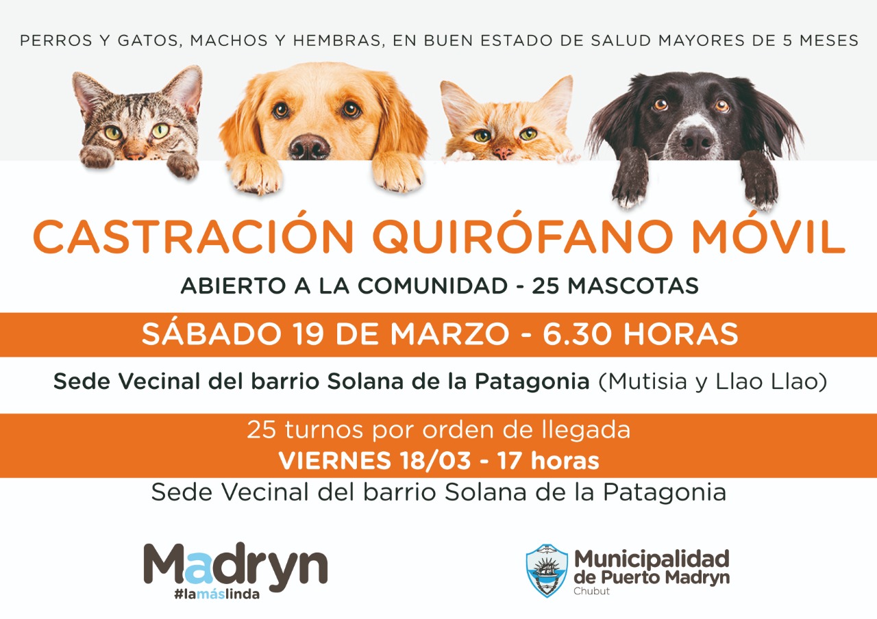 CONTINÚAN LAS CAMPAÑAS GRATUITAS DE CASTRACIÓN DE MASCOTAS