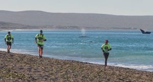 SE CONOCE EL CALENDARIO MADRYNENSE DE COMPETENCIAS “CORREMOS TODOS 2022”