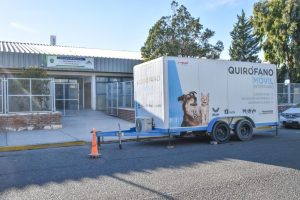 CONTINÚAN LAS CAMPAÑAS GRATUITAS PARA MASCOTAS