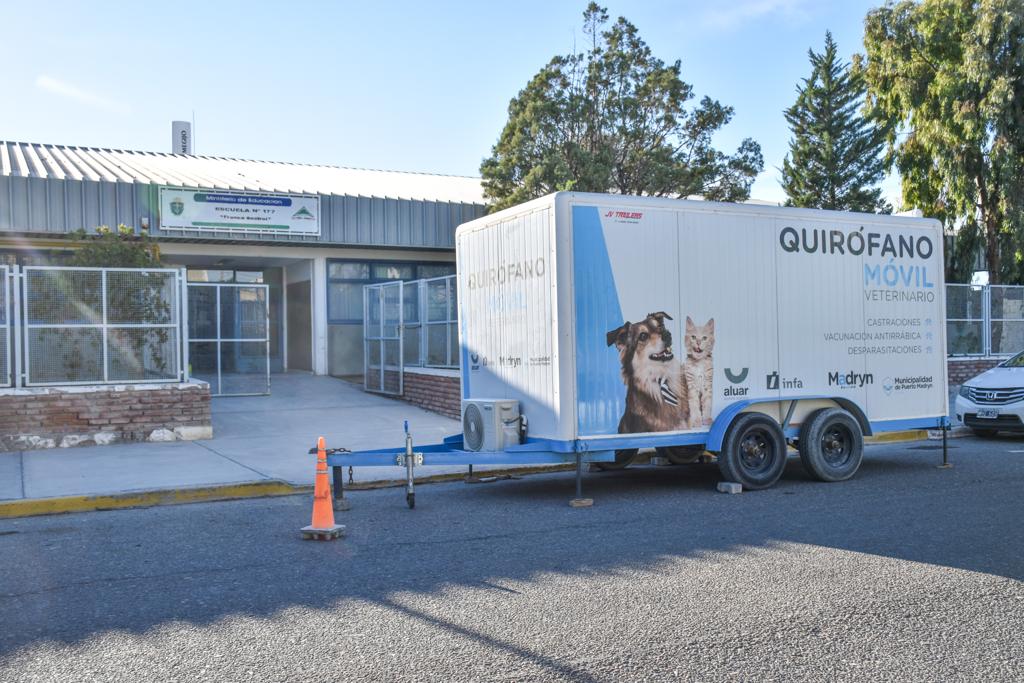 CONTINÚAN LAS CAMPAÑAS GRATUITAS PARA MASCOTAS
