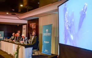 CON ALTAS EXPECTATIVAS Y DESDE PUERTO MADRYN, SE LANZÓ LA TEMPORADA DE BALLENAS 2022