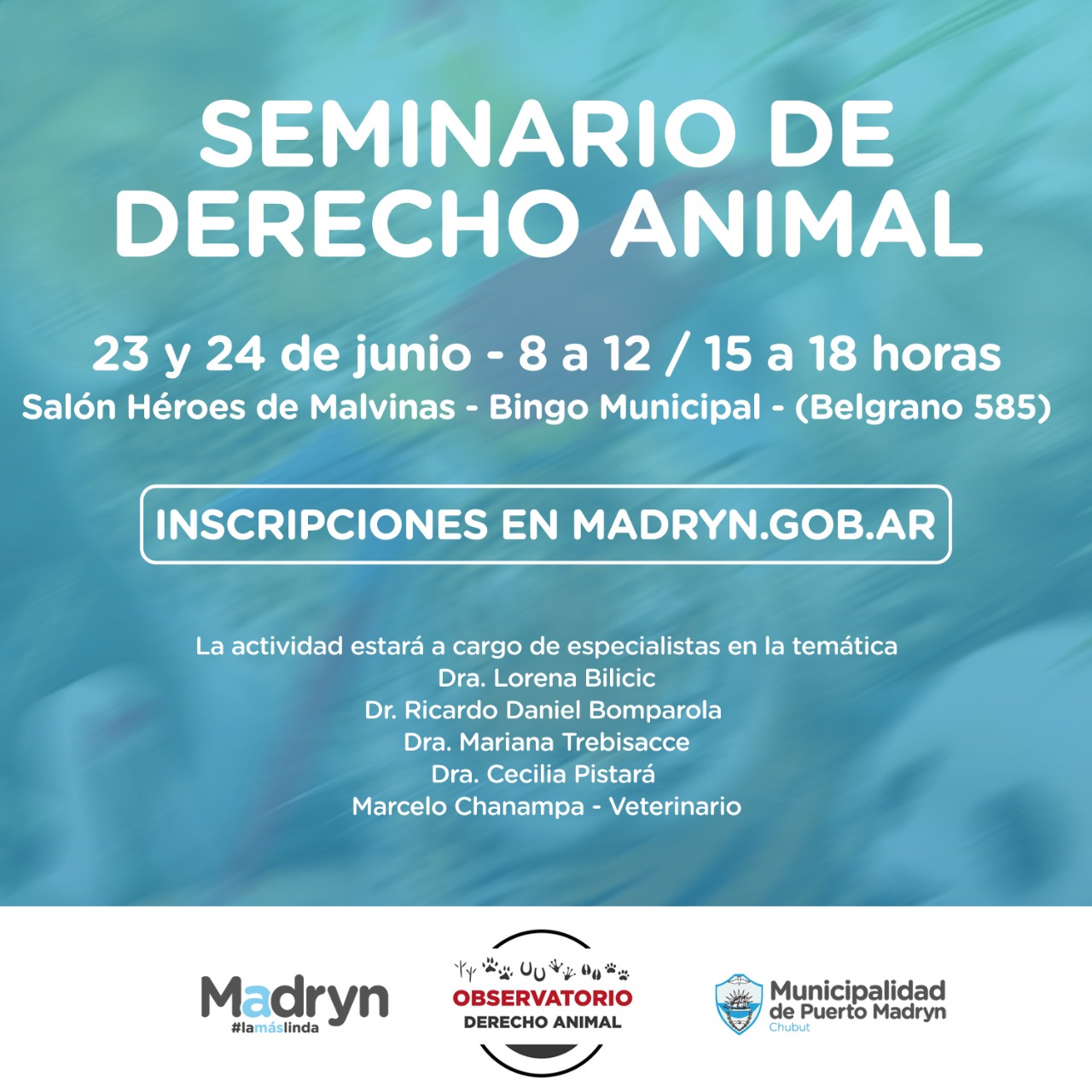 INVITAN A SEMINARIO DE DERECHO ANIMAL