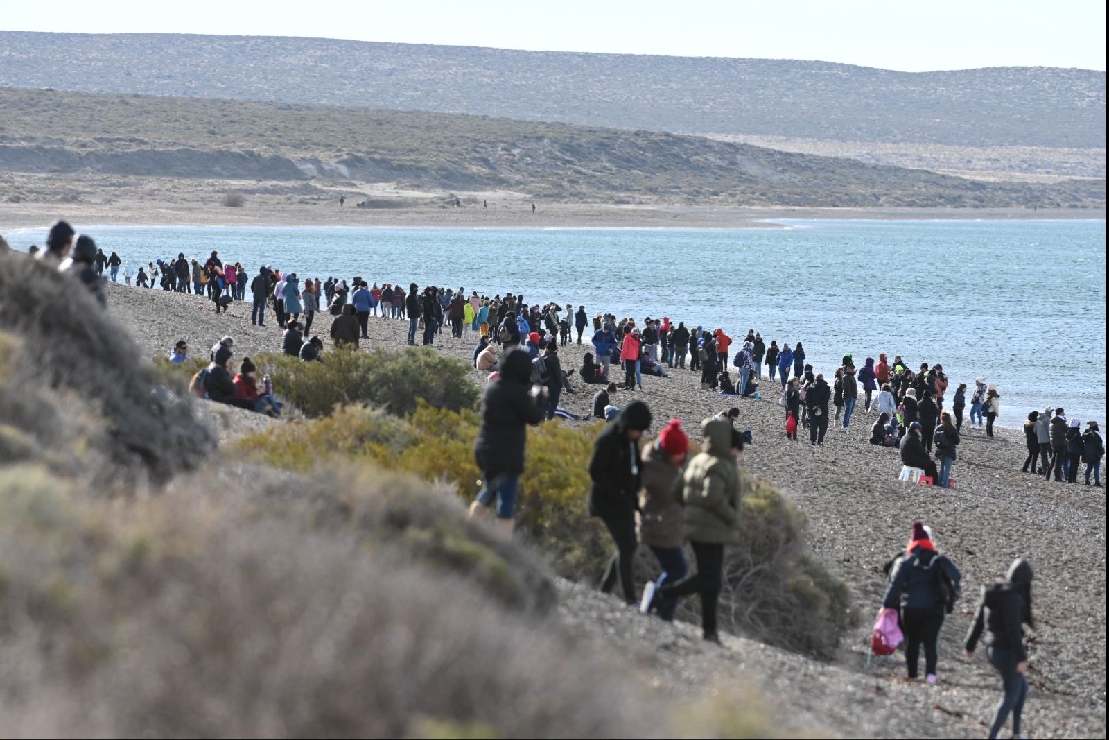 VACACIONES DE INVIERNO: MADRYN REGISTRA UN 25% MÁS DE OCUPACIÓN QUE EN 2021, CON UN MOVIMIENTO ECONÓMICO SUPERIOR A LOS $500 MILLONES