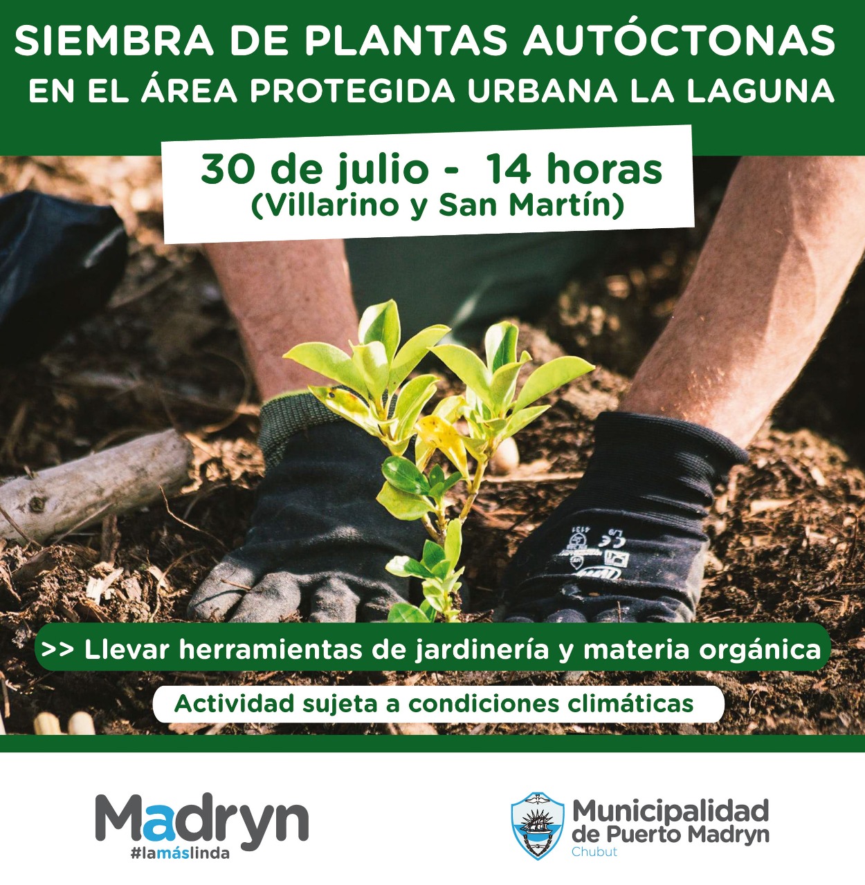 SE REPROGRAMÓ LA ACTIVIDAD DE SIEMBRA DE PLANTAS AUTÓCTONAS
