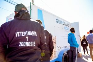 CAMPAÑA DE CASTRACIÓN GRATUITA PARA PERROS Y GATOS