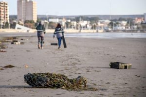 EL MUNICIPIO EMITIÓ UN INFORME AL MINISTERIO DE AMBIENTE DE CHUBUT POR LA APARICIÓN DE RESIDUOS DE BARCOS DE RAWSON EN LAS PLAYAS DE MADRYN