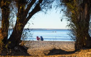 PUERTO MADRYN SE CONSOLIDA COMO UNO DE LOS DESTINOS MÁS ELEGIDOS DEL PAÍS