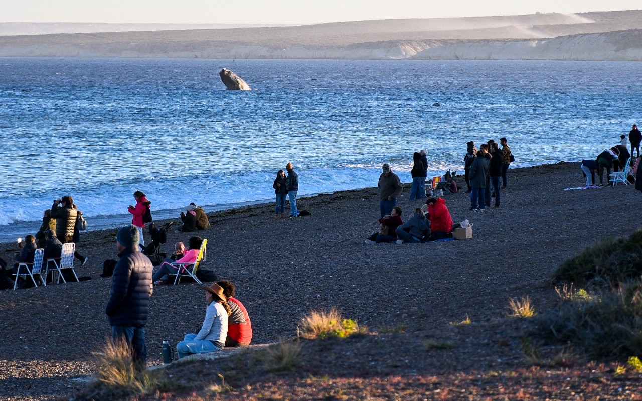PUERTO MADRYN ES EL DESTINO ARGENTINO QUE MÁS CRECIÓ EN BÚSQUEDAS EN TODA AMÉRICA LATINA DURANTE 2022