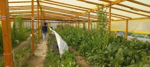 SE REPROGRAMA LA FERIA AGROECOLÓGICA EN EL CEGEBA 2