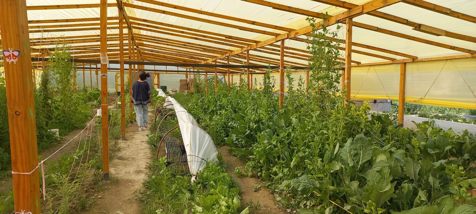 SE REPROGRAMA LA FERIA AGROECOLÓGICA EN EL CEGEBA 2